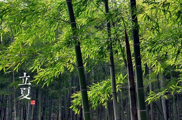 立夏日忆京师诸弟