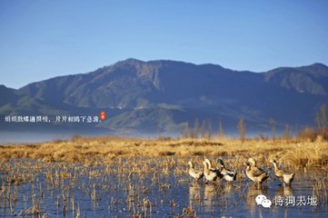 驻舆遣人寻访後山陈德方家