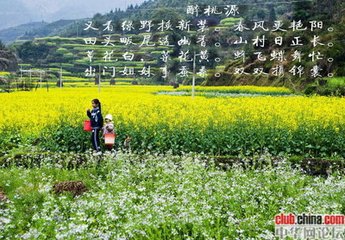 醉桃源（和昌甫）