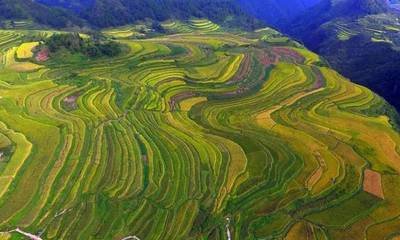 逾岭峤止荒陬抵高要