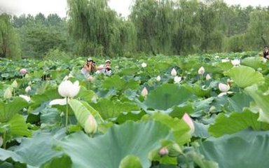 奉和御制与宋璟源乾曜同日上官命宴东堂赐诗