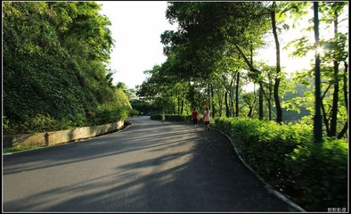 对海红花怀吏部侍郎