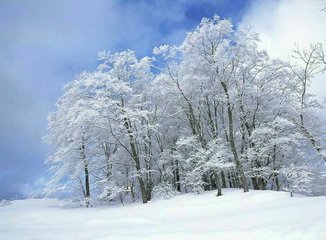 和太傅平章贾魏公咸淳庚午冬大雪遗安抚潜侍