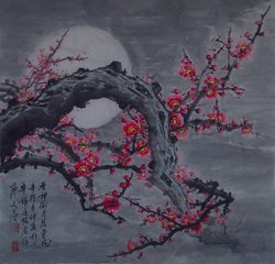 梅花引（寿槐城）