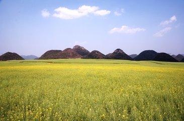 鸡菜岭