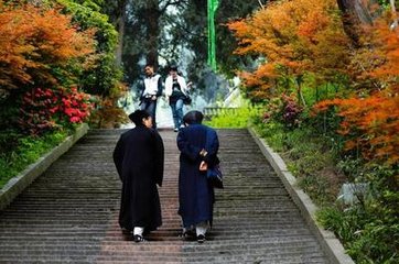 题鹤鸣山