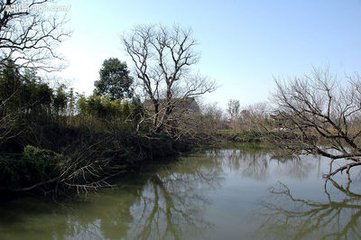 行朝早春侍师门宴西溪席上作