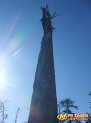 避地过雷霹滩