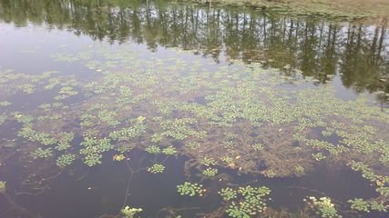 东湖临泛饯王司马