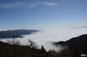 清明风雪小酌庄舍示黎才翁