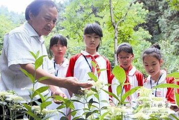 满江红（寿邓法，六月八日生）