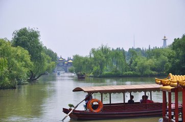 鹧鸪天·占得春风五日先