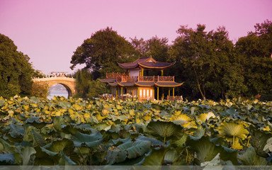 八声甘州（西湖十咏·曲院风荷）