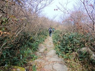 和陈传道秋日十咏之一秋雨