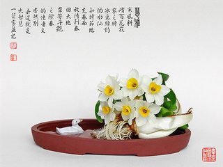 王充道送水仙花五十支