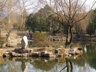 莺声绕红楼·十亩梅花作雪飞