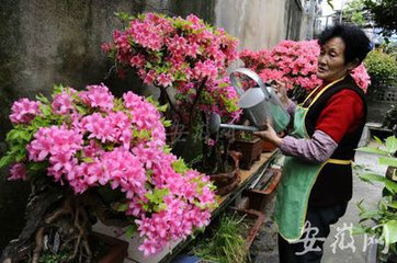 西村老人隐居