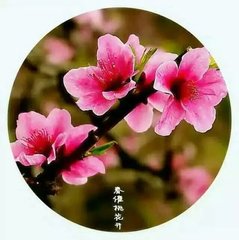 更漏子·烛消红