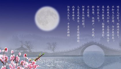 水调歌头（陈平章即席赋）