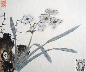 绣鸾凤花犯·赋水仙