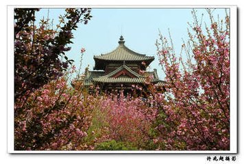 病后游青龙寺