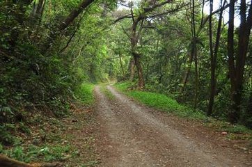 六月六日倪{奥下加山}庵坐雨