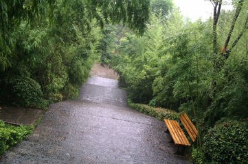 雨中宿竹林寺谢尉仁父见访