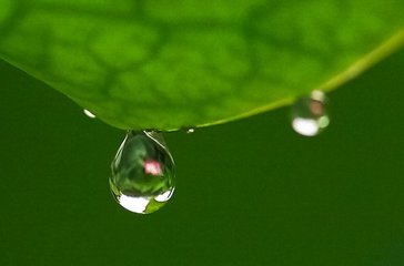 久雨六言四首