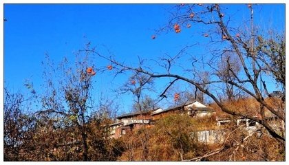 霜天晓角·小山幽彻