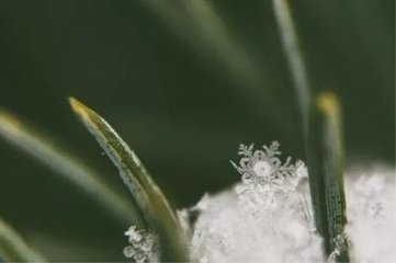 乌夜啼·无端小雪廉纤