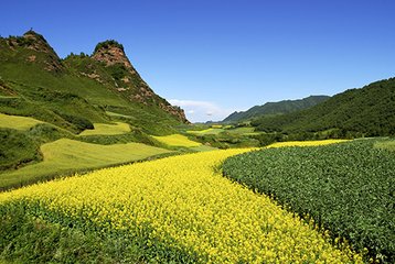 渭河道中 其二