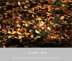 一翦梅（题泛碧斋）