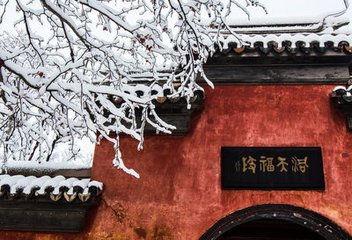 淮南李相公绅席上赋春雪