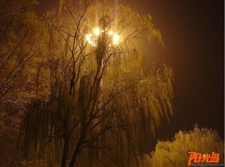 乌夜啼·杨柳拖烟漠漠