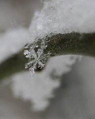 【南吕】一枝花　怨雪