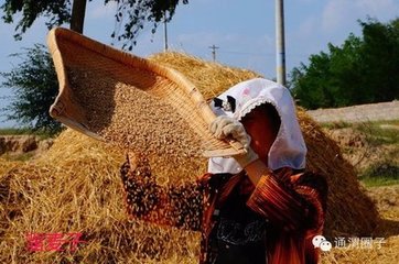 乌江道中闻杜鹃有感