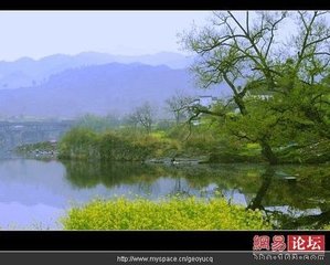 水龙吟·晓莺啼醒春愁