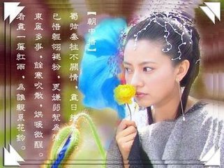 朝中措·漏云初见六花开