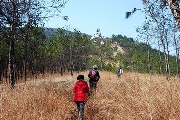 春日送丽处士归龙山