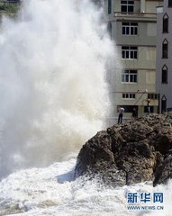 梅花十绝答石塘二林