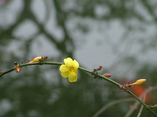 早春有怀亡友秋晓恕斋小山诸公