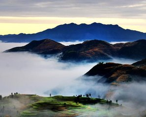 以景结情