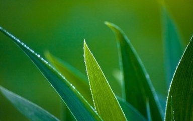 夏日题岫禅师房