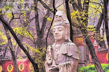 秋日题琅琊山寺