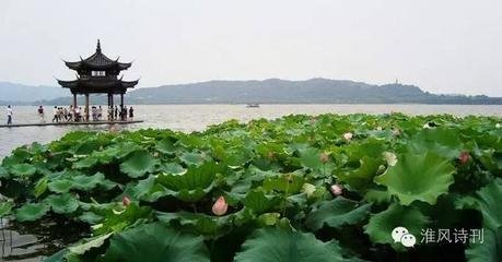 西湖杂咏·夏