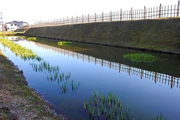 春日登城