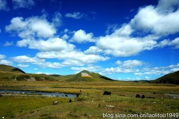 大热见田中病牛