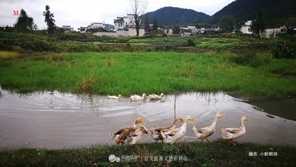 冬前雪珠夜下早闻远山皆白