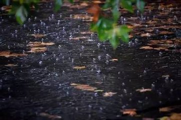 秋雨有怀李寺丞