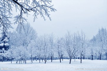 菩萨蛮（喜雪）